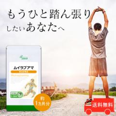 CvA} 1 C-264 (60JvZ)   Tv vT Lipusa  agesugi_sbe