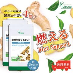 I_CGbg 3~2 C-213-2 (180JvZ~2)  _CGbg 傤 Tv vT Lipusa  agesugi_sbe