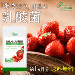 l̓_ 1 C-313 (30JvZ)  N ܂ ώ_JvZ Tv vT Lipusa  agesugi_sbe