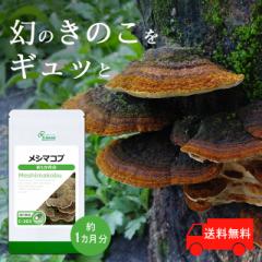 ���V�}�R�u ��1������ C-303 (90�J�v�Z��) �������� ���N�ێ� �L�m�R �T�v�� ���v�T Lipusa ���� agesugi_sbe