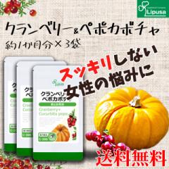 Nx[{y|J{` 1~3 C-306-3 (60JvZ~3)  N gC Tv vT Lipusa  agesugi_sbe