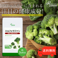 ۂXtHt@ 3 C-3100 (180JvZ)  N ubR[XvEg GR Tv vT X[p[t[h