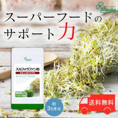 XtHt@ 3 T-3751 (180)  N _CGbg GR ubR[XvEg Tv vT1 Lipusa  ag