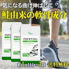 veIOJ 1~3 C-533-3 (30JvZ~3)  N Tv vT Lipusa  agesugi_sbe