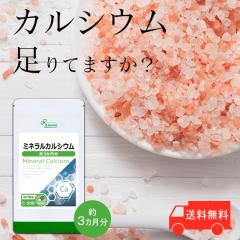 ~lJVE 3 C-508 (180JvZ)  N Tv vT Lipusa  agesugi_sbe