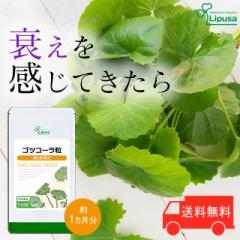 ScR[ 1 T-635 (120)   c{NT n[u Tv vT Lipusa  agesugi_sbe