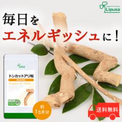 gJbgA 1 T-634 (60)   Tv vT Lipusa  agesugi_sbe