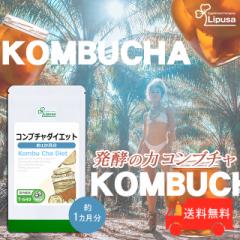 |CgҌ Ru`_CGbg 1 T-649 _CGbg kombucha gLmR Tv vT Lipusa  