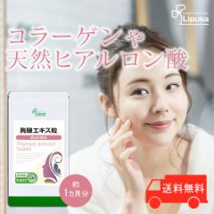 BGLX 1 T-677 (120)  e Tv vT Lipusa  agesugi_sbe