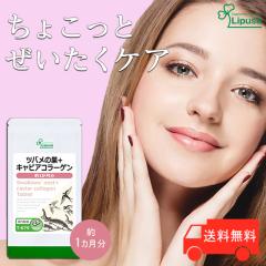 cȏ{LrAR[Q 1 T-679 (60)  e N GCWOPA Tv vT Lipusa  agesugi_sbe