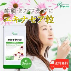 GLiZA 3 T-604 (360)  Nێ n[u Tv vT Lipusa  agesugi_sbe