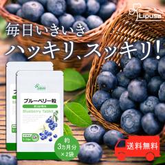 u[x[ 3~2 T-704-2 (360~2)  N fW^PA e[N AgVAj Tv vT Lipusa 