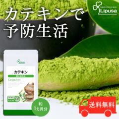 �J�e�L��(�Β��{�ׂɂӂ���) ��1������ T-726 (60��) �������� ���N �T�v�� ���v�T Lipusa ���� agesugi_sbe