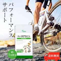 x[^Aj 1 T-740 (300)  N X|[c g[jO Tv vT Lipusa  agesugi_sbe