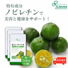 炲ƃV[N[T[ 1~3 T-744-3 (180~3)  N r^~C NG_Tv vT Lipusa  agesugi_sbe