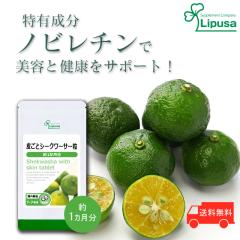 炲ƃV[N[T[ 1 T-744 (180)  N r^~C NG_Tv vT Lipusa  agesugi_sbe