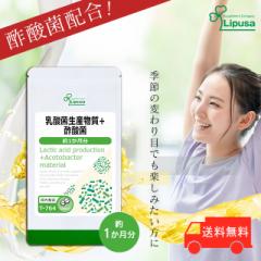 ���_�ې��Y����+�|�_�� ��1������ T-764 (60��) �������� ���N �ۊ� �T�v�� ���v�T Lipusa ���� agesugi_sbe