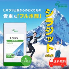 VWbg 1 T-769 (90)  N Tv t{_ vT Lipusa  agesugi_sbe