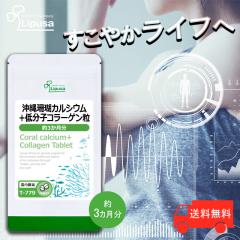 XJVE{ᕪqR[Q 3 T-779 (360)  N Tv vT Lipusa  agesugi_sbe