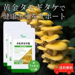 �^���M�^�P�� ��1�������~3�� T-786-3 (30���~3��) �������� ���N �T�v�� ���v�T Lipusa ���� agesugi_sbe