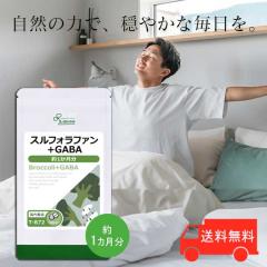 XtHt@{GABA 1 T-872 (60)  _CGbg N ubR[XvEg Tv vT Lipusa  agesugi_