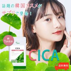 CICA 1 T-803 (60)  Nێ GCWOPA ScR[ c{NT Tv vT Lipusa  agesugi_sbe