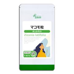 }R 1 T-873 (30)  _CGbg N NtB PCf ^ Tv vT Lipusa  agesugi_sbe