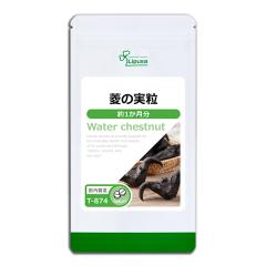 H̎ 1 T-874 (60)  N e |tFm[ t_ qV Tv vT Lipusa  agesugi_sbe