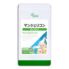 }WFR 1 T-876 (60)  N e ~l H@ n[u t{mCh Tv vT Lipusa  agesugi