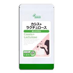 JVX{N`[X 1 T-879 (60) agesugi_sbe