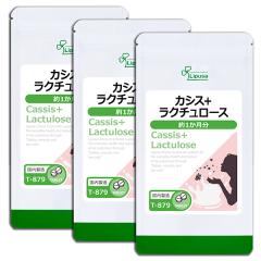 JVX{N`[X 1~3 T-879-3 (60~3)  N _ G`Pbg Tv vT Lipusa  agesugi_sbe