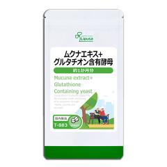 ���N�i�G�L�X�{�O���^�`�I���ܗL�y�� ��1������ T-883 (60��) �������� ���N�ێ� �ނ��ȓ� �T�v�� ���v�T Lipusa ���� agesugi_sbe