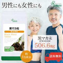 }J 1 S-1003 (210)  N Tv vT Lipusa  agesugi_sbe