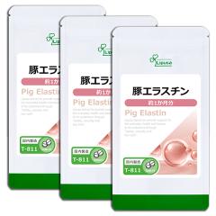 ؃GX` 1~3 T-811-3 (60~3)  e GCWOPA Tv vT Lipusa  agesugi_sbe