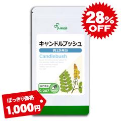 �ۂ�����Z�[�� �L�����h���u�b�V�� ��1������ C-207 (90�J�v�Z��) �������� �_�C�G�b�g �T�v�� ���v�T Lipusa ���� agesugi_sbe