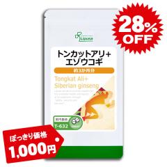 ۂgJbgA{G]ERM 3 T-632 (360)   Tv vT Lipusa  agesugi_sbe