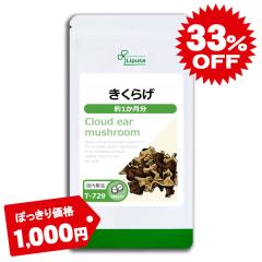 �ۂ�����Z�[�� �����炰(�r�^�~��D) ��1������ T-729 (120��) �������� ���N �H���@�� �J���V�E�� �T�v�� ���v�T Lipusa ���� agesugi_s