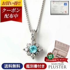 �p���C�o�g���}���� �l�b�N���X ���f�B�[�X PT �v���`�i Pt900 �ӕʏ� �v���`�i�l�b�N���X �g���}���� �V�R�� �J���[�X�g�[�� �F�� �y��