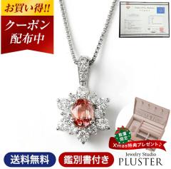 �p�p���`�A�T�t�@�C�A �l�b�N���X ���f�B�[�X PT �v���`�i Pt900 �ӕʏ� �v���`�i�l�b�N���X �V�R�� �󏭐� �J���[�X�g�[�� �F�� �y���_