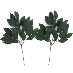   _Ip  }t 35cm TJL  _ _I