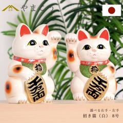 �����L �튊�� ������ �� 8�� 24.3cm �I�ׂ�E�� ���� ���퐻 ������ �J�^�O�b�Y ���N�� ���{�� �a���C���e���A �J�X�j�� �M�t�g