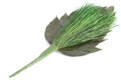  Ԃł͂ȂVR̗t vU[uhO r_ ꑩ _I _ r_I  Y