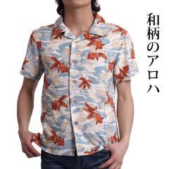 AnVc Y Vc  a  X M L LL