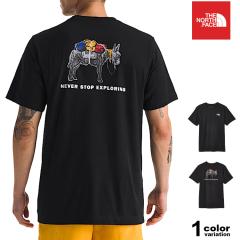 �U �m�[�X�t�F�C�X T�V���c ���� �����Y ���f�B�[�X THE NORTH FACE Evolution Pack S/S Tee �C�O���f�� NF0A8FN8