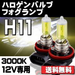 LEDtHOv H11 100W CG[ 3000K 12V Px nQou p 2