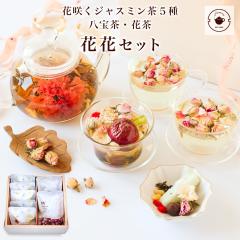 �����e�[  �M�t�g �J�[�l�[�V���� �ԍ炭 �H�|��5�� ���� �o���� �l�ߍ��킹 �ԉԃZ�b�g �v���[���g ���� �Ԓ� ������ �����y �e�B�[ 