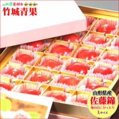 【5/5(月)～5/11(日)日時指定OK】母の日！ぴったり！山形県産 さくらんぼ 佐藤錦 プレミアムボックス(秀品/Lサイズ/24粒)