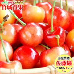 【6月上旬から順次出荷予定/日時指定可】山形県産 ご家庭用 さくらんぼ 佐藤錦(露地/Lサイズ/1kg/ばら詰め)