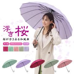 P fB[X 16{ JP P WvP  60cm JɔGƕo OXt@Co[ ̓ 킢 