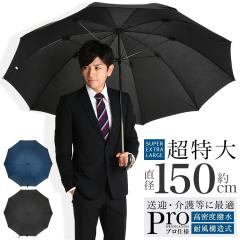 P Y 傫 P JP 10{ v    OXt@Co[  JT  85cm 